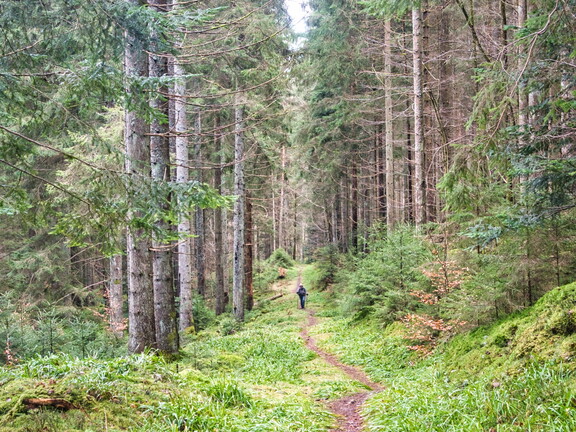 20220205202130-fb114aee